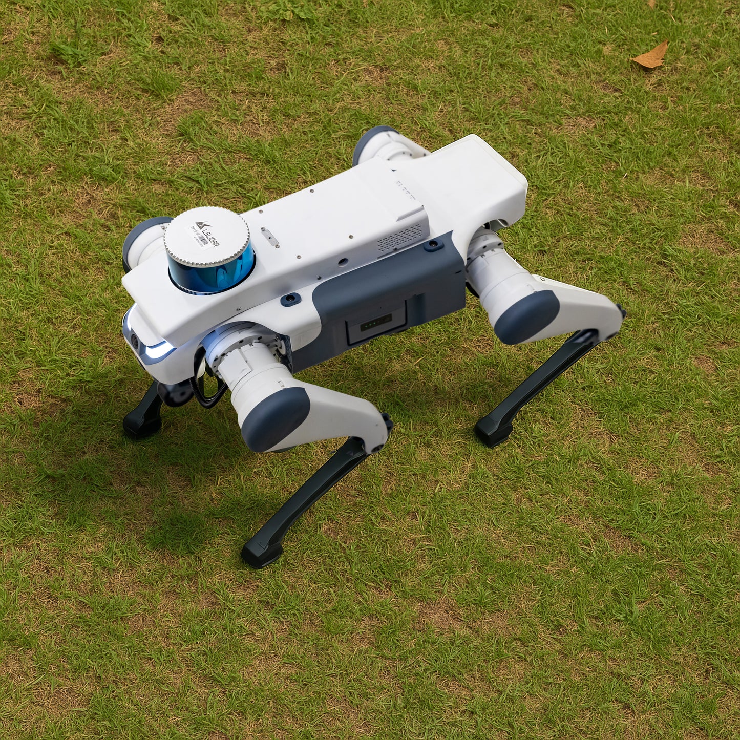 Lite 3 Robotic Quadruped Companion